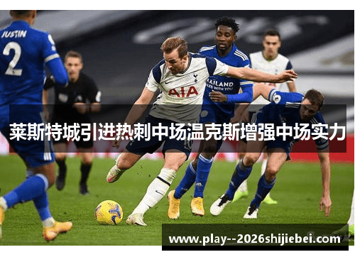 莱斯特城引进热刺中场温克斯增强中场实力